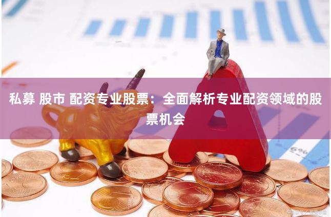 私募 股市 配资专业股票：全面解析专业配资领域的股票机会