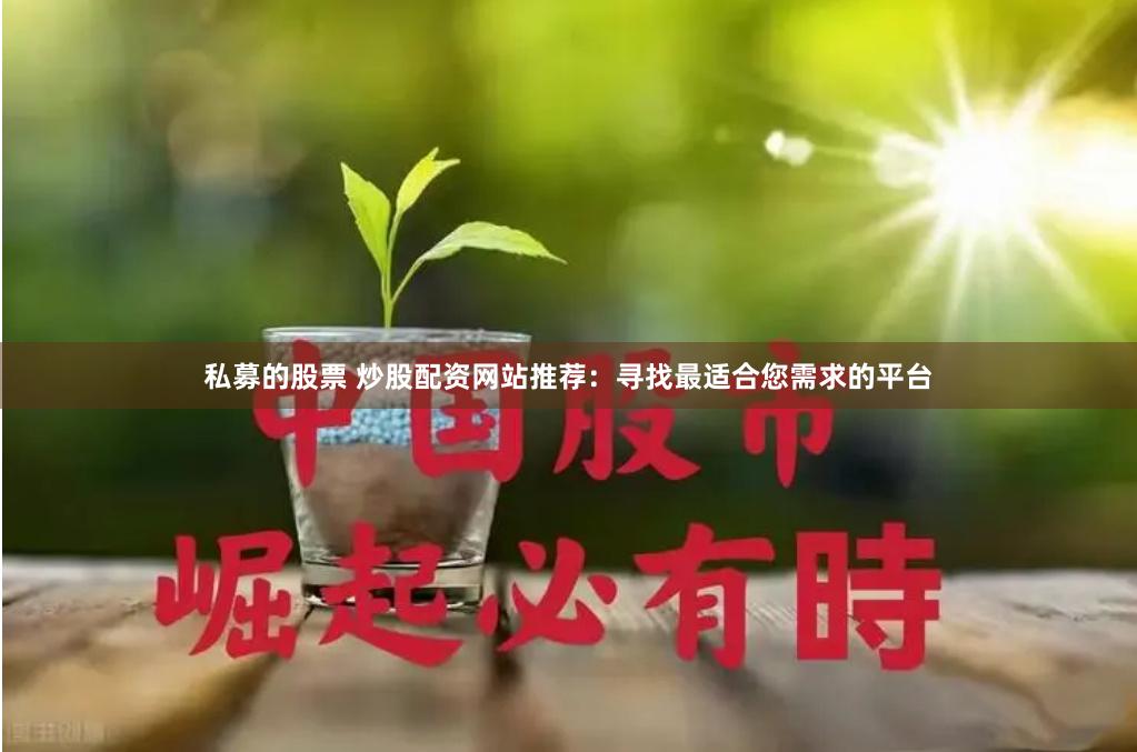 私募的股票 炒股配资网站推荐：寻找最适合您需求的平台