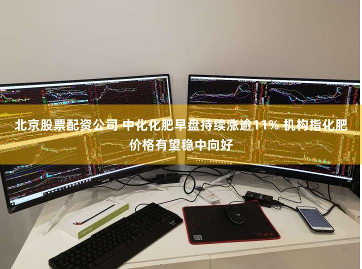 北京股票配资公司 中化化肥早盘持续涨逾11% 机构指化肥价格有望稳中向好