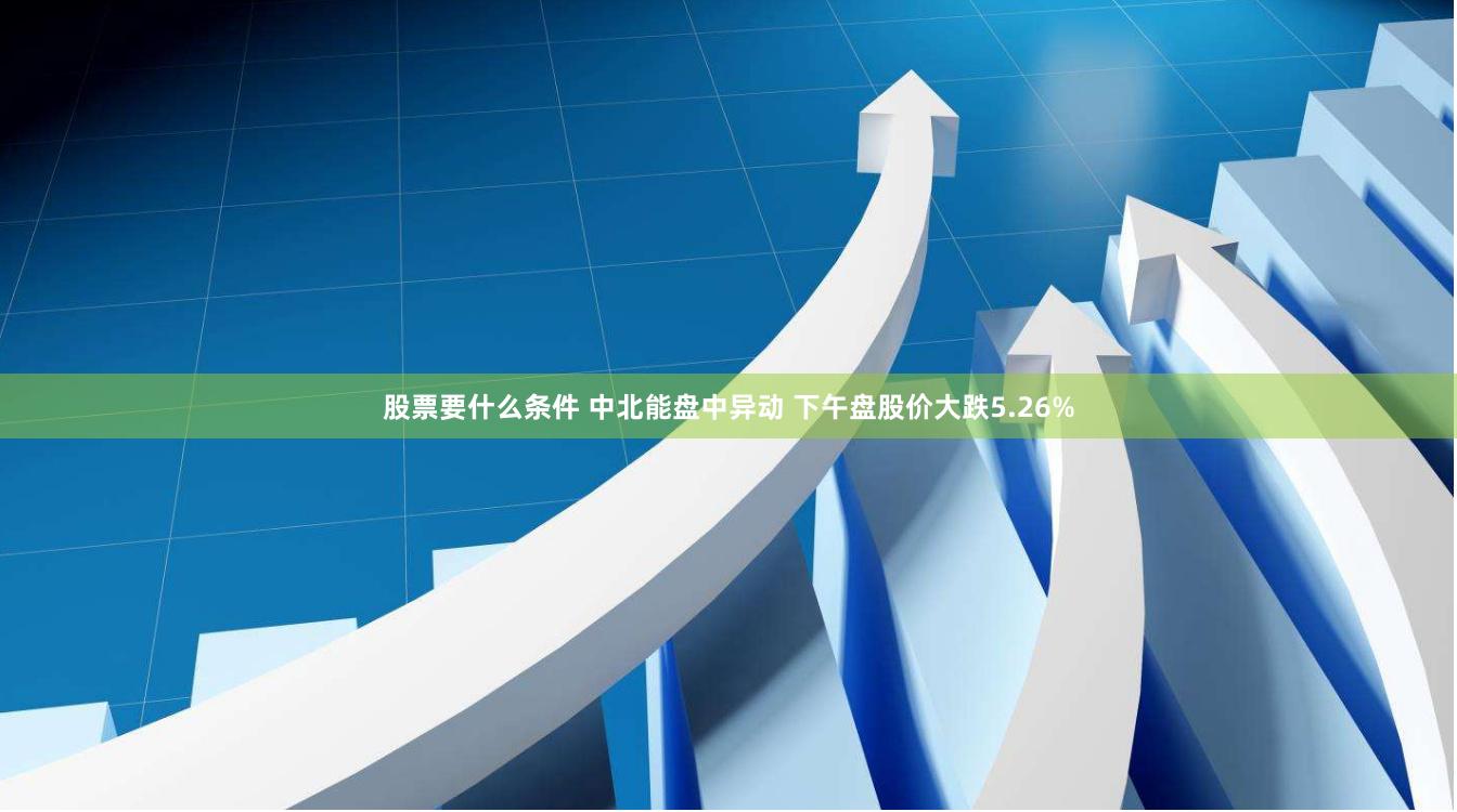 股票要什么条件 中北能盘中异动 下午盘股价大跌5.26%