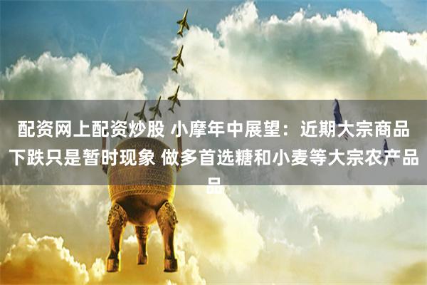配资网上配资炒股 小摩年中展望：近期大宗商品下跌只是暂时现象 做多首选糖和小麦等大宗农产品